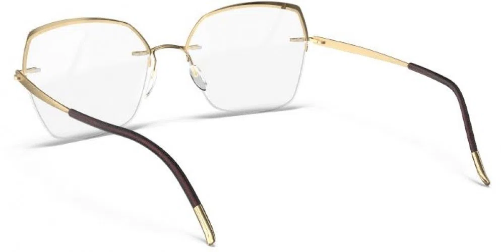 Silhouette Artline Nylor 5546_JU 5546 Eyeglasses - view 16